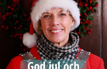 Margit Svenson, Distrikt Guvernör 2025-2026